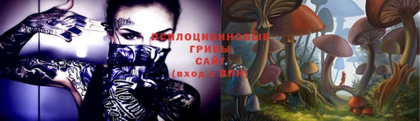 первитин Медвежьегорск