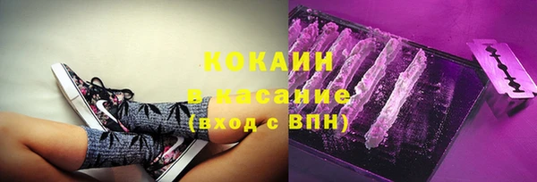 тгк Медногорск