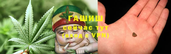 гидра Тайга