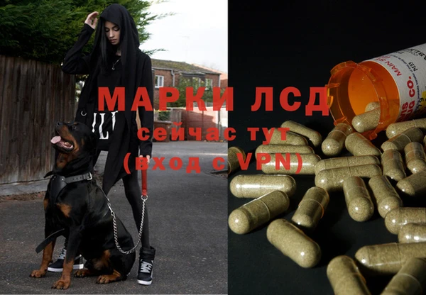 первитин Медвежьегорск