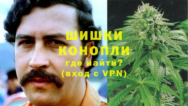 тгк Медногорск
