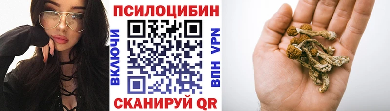 Галлюциногенные грибы мухоморы Архангельск