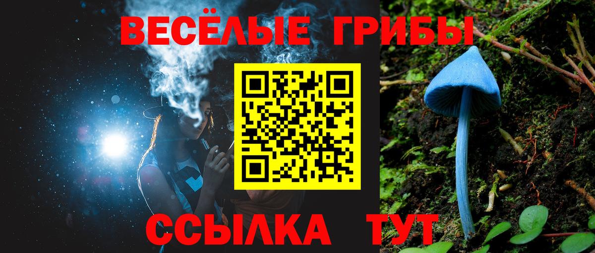 Архангельск  Псилоцибиновые грибы Psilocybine cubensis  Галлюциногенные грибы Cubensis  Вход с VPN 